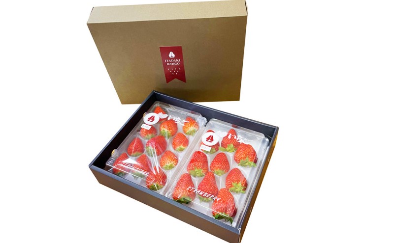 いちご ギフトに最適 いただきいちご園の食べ比べ セット 厳選 4品種 化粧箱入り 果物 デザート イチゴ 苺