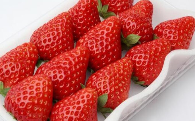 いちご いただきいちご園 食べ比べ パック 完熟いちご 厳選 2品種 果物 デザート イチゴ 苺