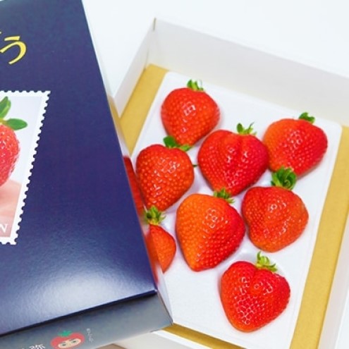 いちご いちご職人直送 白木のいちご 特選 あまおう (特大サイズ) 8粒 イチゴ 苺 果物 デザート ※配送不可：沖縄・離島