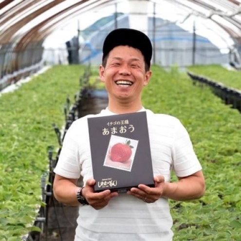 いちご 初物 2025年内にお届け あまおう 約400g (12～15粒) 白木のいちご しあわせもん イチゴ 苺 果物 デザート ※配送不可：沖縄・離島