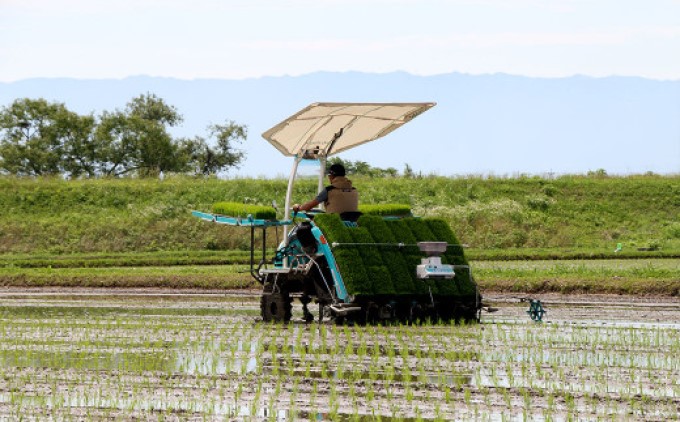 米 たごもり農園 特別栽培米 夢つくし 5kg 小郡産 栽培期間中 農薬不使用 お米 コメ 精米