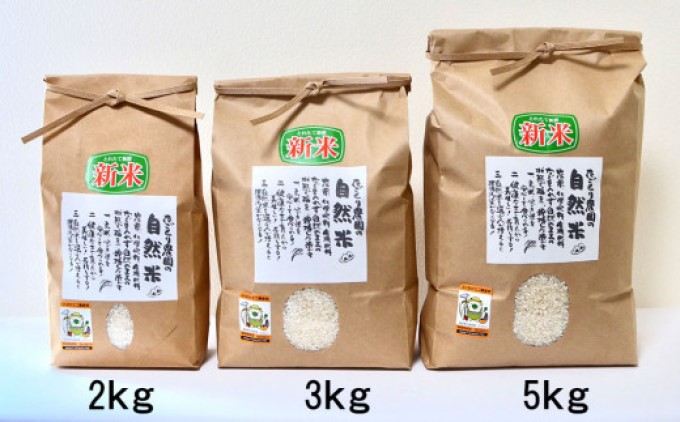 定期便 3ヶ月 たごもり農園の自然米 ヒノヒカリ 5kg 小郡産 栽培期間中 農薬不使用 お米 コメ 精米 3回 お楽しみ