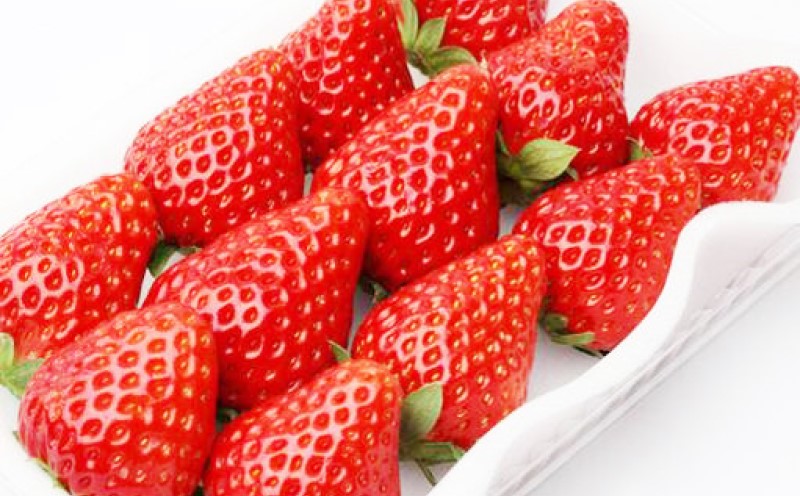 いちご 大玉！ 福岡県産 あまおう (1パック 8玉又は11玉入り) イチゴ 果物 ※配送不可：離島