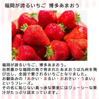 いちご 2パック 博多あまおう デラックス グランデ セット 詰め合わせ おまおう 苺 イチゴ 果物 くだもの フルーツ 旬のフルーツ 季節のフルーツ 旬の果物 季節の果物 福岡 福岡県 小郡市 お申込：2026年2月10日迄
