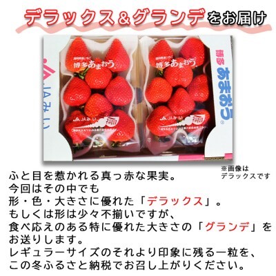 いちご 2パック 博多あまおう デラックス グランデ セット 詰め合わせ おまおう 苺 イチゴ 果物 くだもの フルーツ 旬のフルーツ 季節のフルーツ 旬の果物 季節の果物 福岡 福岡県 小郡市 お申込：2026年2月10日迄