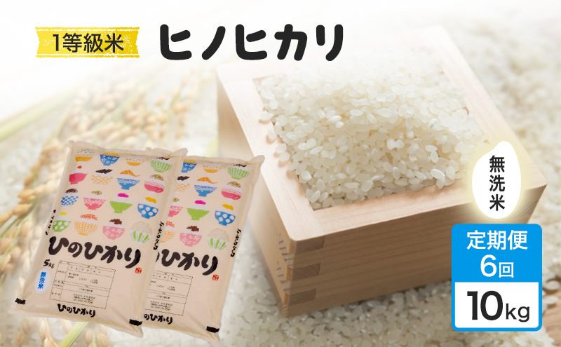 定期便 6回 米 1粒からこだわる 1等級米 ヒノヒカリ 無洗米 10kg お米 コメ お楽しみ 6ヶ月 令和7年度産