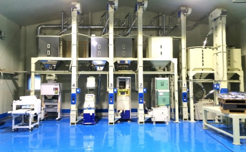 定期便 6回 米 1粒からこだわる 1等級米 にこまる 無洗米5kg お米 コメ お楽しみ 6ヶ月 令和7年度産