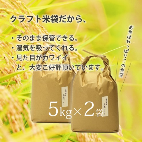 R7年産 玄米 10kg 元気つくし 福岡県産 特A評価 お米 5kg×2袋　米 コメ 福岡県 ご飯 ごはん 国産 国産米 グルメ 食品