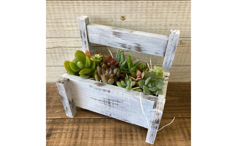 多肉植物 じぶんで植える 多肉 寄せ植えキットB 木製 ベンチ型 プランター 全4色 インテリア 植物 寄せ植え ガーデニング 福岡 小郡市 ：ピンク色