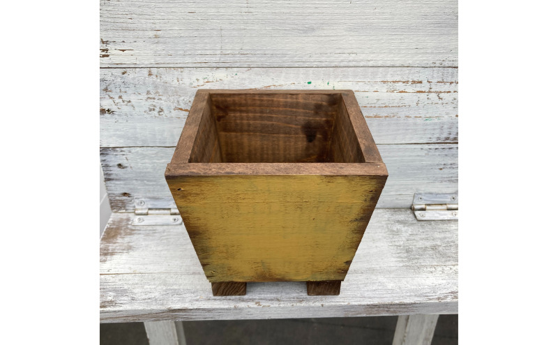 インテリア 植物 ガジュマル プランター 全2色 観葉植物 福岡 小郡市 ：プランター黄色