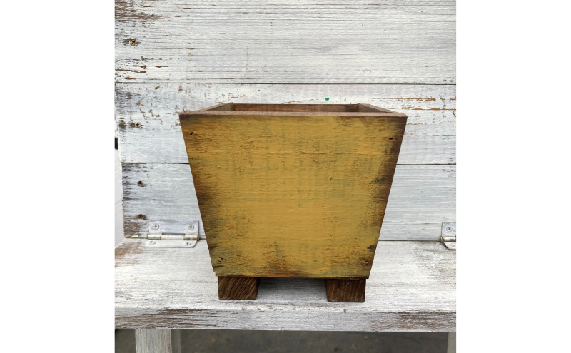 インテリア 植物 サンスベリア プランター 全2色 観葉植物 福岡 小郡市 ：プランター黄色