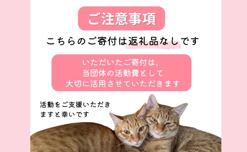 保護猫活動を応援！返礼品無し 10,000円 (お礼状送付) 保護猫