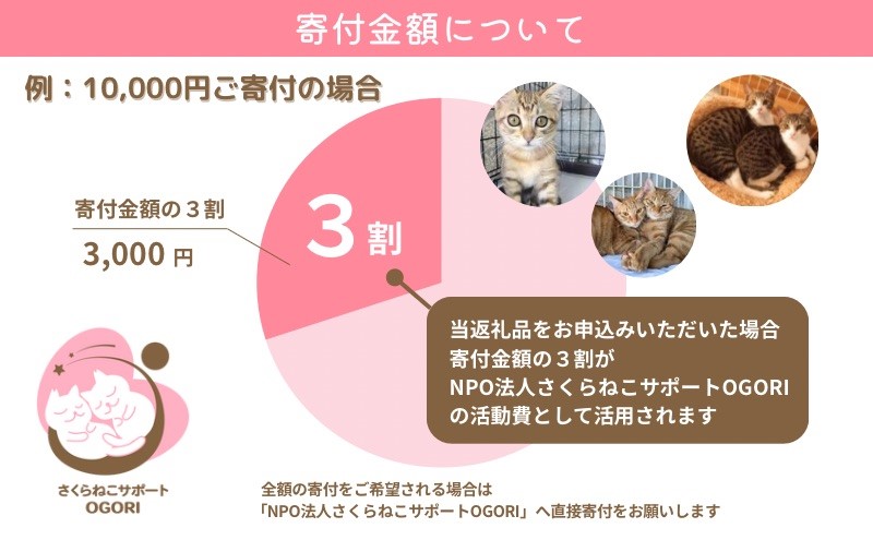 保護猫活動を応援！返礼品無し 10,000円 (お礼状送付) 保護猫