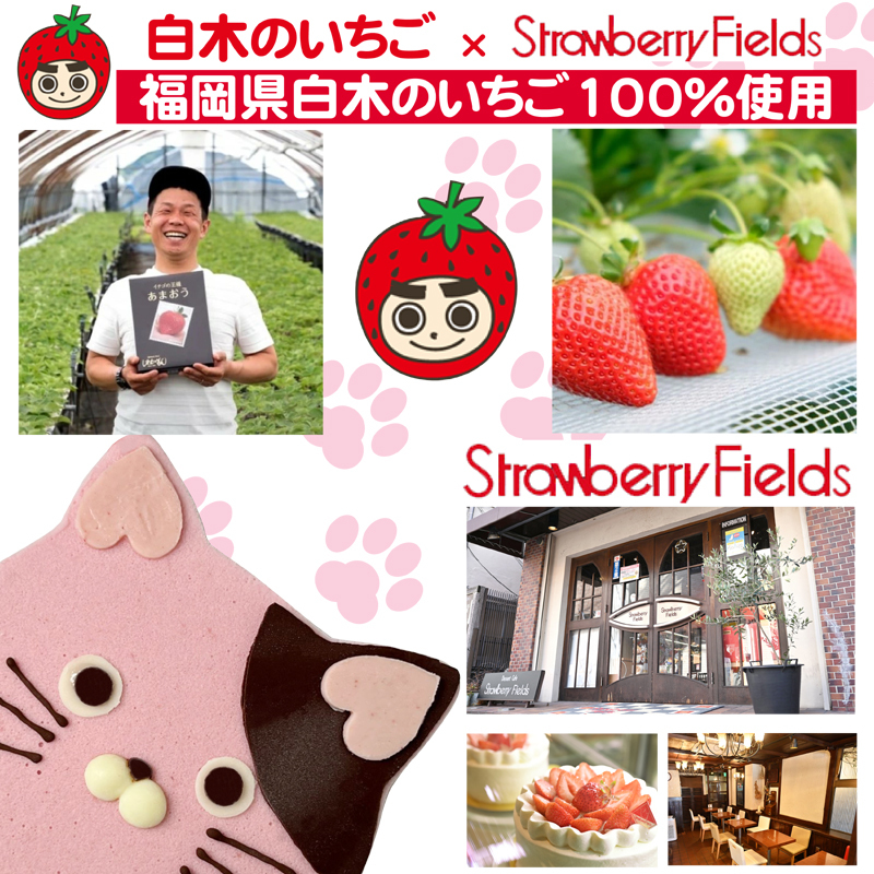 あまおうたっぷり ねこ ジェラートケーキ スイーツ ギフト ケーキ 誕生日ケーキ 大人 猫 誕生日 子供 夏ギフト 猫型 15cm 誕生日 記念日 ねこ バースデー ネコ 動物 モチーフ 猫型 アニマルケーキ 猫の日