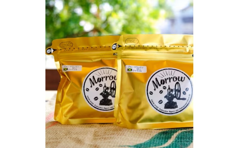 定期便 12回 自家焙煎 ブルーマウンテン(ストレート)  12ヶ月 &ダイヤミル(200g×2×12回) お楽しみ Morrow珈琲