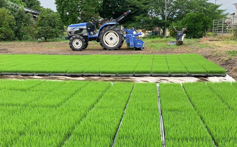 100年続く田中農園のうまい米 元気つくし 「田中茂米」 精米 5kg 米 お米