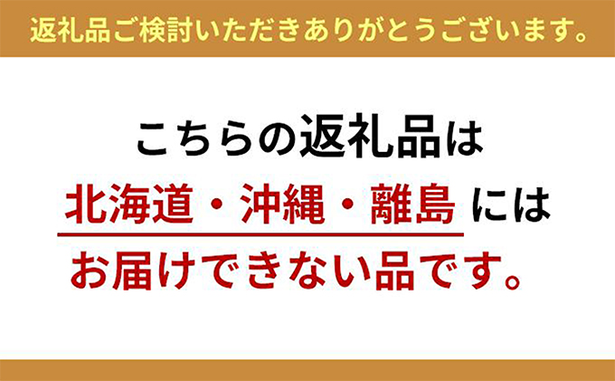 鉢植え レモンの木 アンティーク風鉢 27cm 配送不可 北海道 沖縄 離島