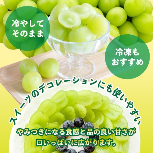 シャインマスカット 約1.4kg (350g×4p) 朝倉市産 シャイン マスカット ぶどう ブドウ 果物 葡萄 デザート ※配送不可：離島