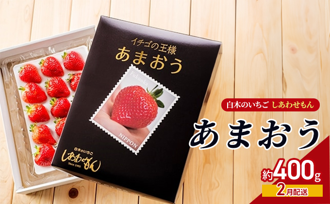 いちご いちご職人 白木のいちご あまおう 300g×4パック詰め (M