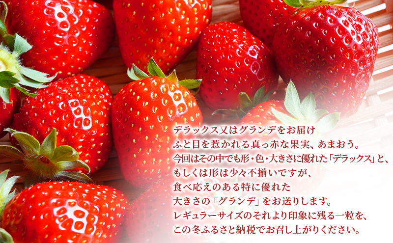 いちご 4パック 計約1080g 博多あまおう デラックス グランデ セット 詰め合わせ おまおう 苺 イチゴ 果物 くだもの フルーツ 旬のフルーツ 季節の果物 福岡 福岡県 大刀洗町 お申込：2026年1月25日迄