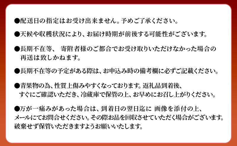 いちご 4パック 計約1080g 博多あまおう デラックス グランデ セット 詰め合わせ おまおう 苺 イチゴ 果物 くだもの フルーツ 旬のフルーツ 季節の果物 福岡 福岡県 大刀洗町 お申込：2025年12月末迄