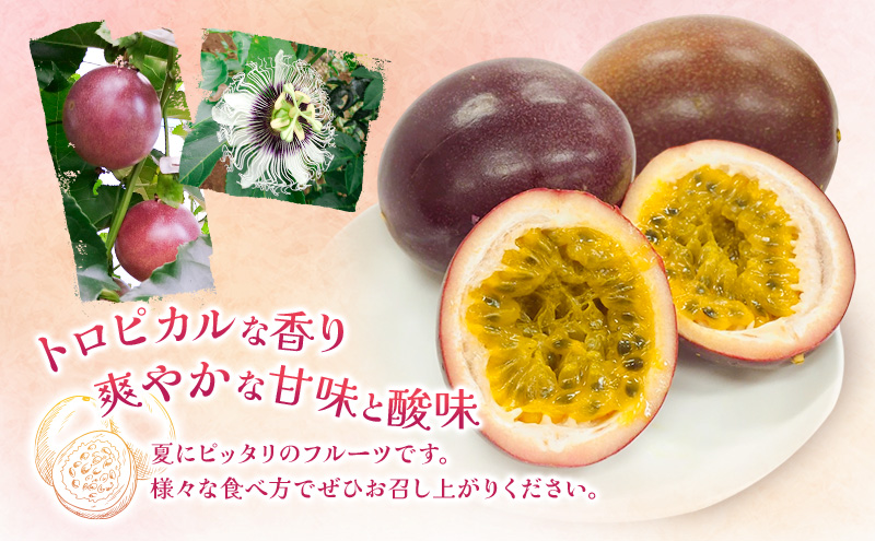 福岡県産 パッションフルーツ 大玉 11～12個 果物 フルーツ ※配送不可:離島