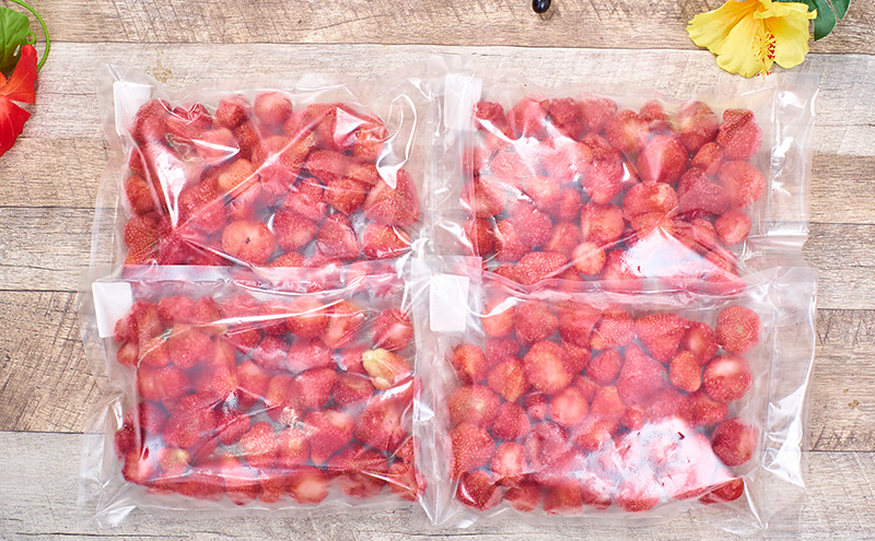 いちご 福岡産 冷凍あまおう 約500g×3袋 冷凍 苺 イチゴ あまおう フルーツ 果物 ※配送不可:離島