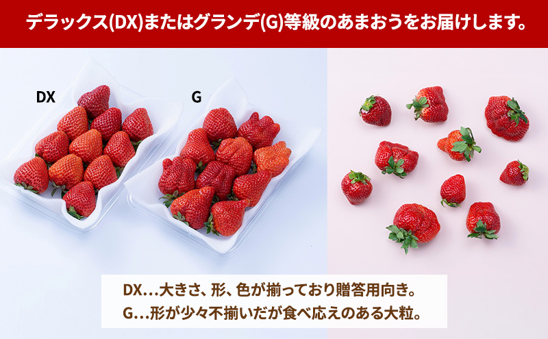 【春】福岡産あまおう4パック いちご  苺 イチゴ フルーツ 果物 ※配送不可:離島