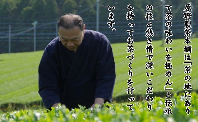 煎茶 八女茶 5袋セット 100g×5袋 お茶 飲み物 飲料 お茶出し 日本茶 茶葉 お茶っ葉 爽やかな香り 甘み ほどよい渋味 バランス 飽きのこない味わい 鮮やかな色 普段用 お客様用