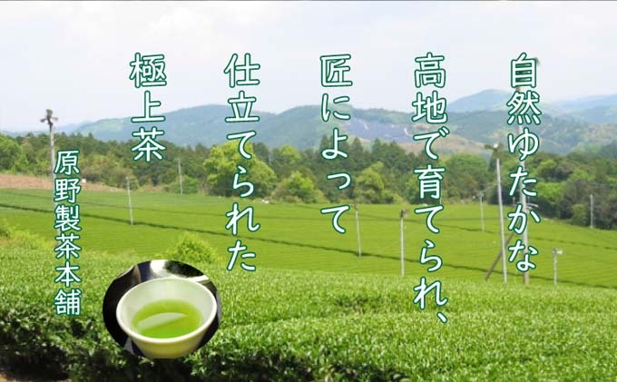 煎茶 八女茶 5袋セット 100g×5袋 お茶 飲み物 飲料 お茶出し 日本茶 茶葉 お茶っ葉 爽やかな香り 甘み ほどよい渋味 バランス 飽きのこない味わい 鮮やかな色 普段用 お客様用