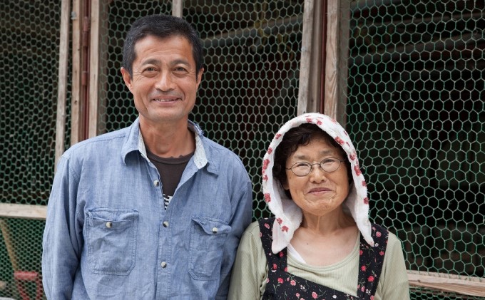 はかた地どりプレミアム水炊きセット 鍋セット水炊き 鶏肉水炊き ※配送不可:離島