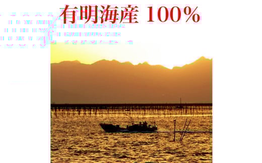 福岡県産 有明のり 海苔のふりかけ 30g ×10袋