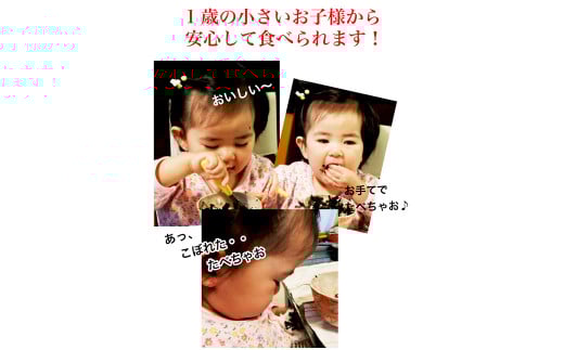 福岡県産 有明のり 海苔のふりかけ 30g ×10袋