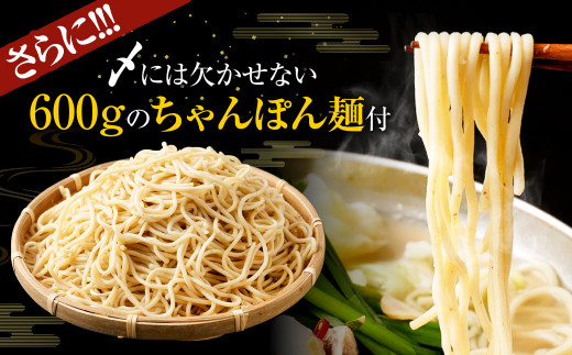 【3つの味から選べる】 九州産! 七種の ホルモン もつ鍋 セット（味噌味）