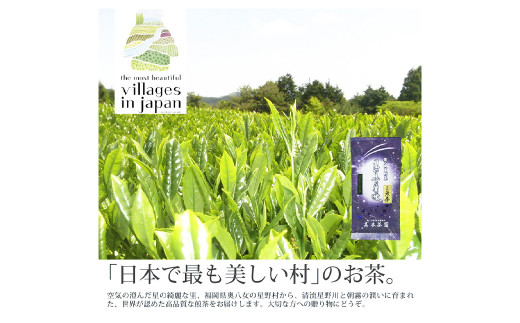 【6回定期便】奥八女星野村 深蒸し高級煎茶 深蒸し茶 約100g×1袋×6回