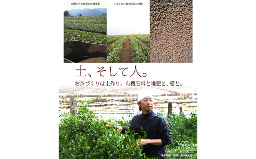 奥八女星野村 深蒸し高級煎茶 深蒸し茶 約100g×2袋 計約200g