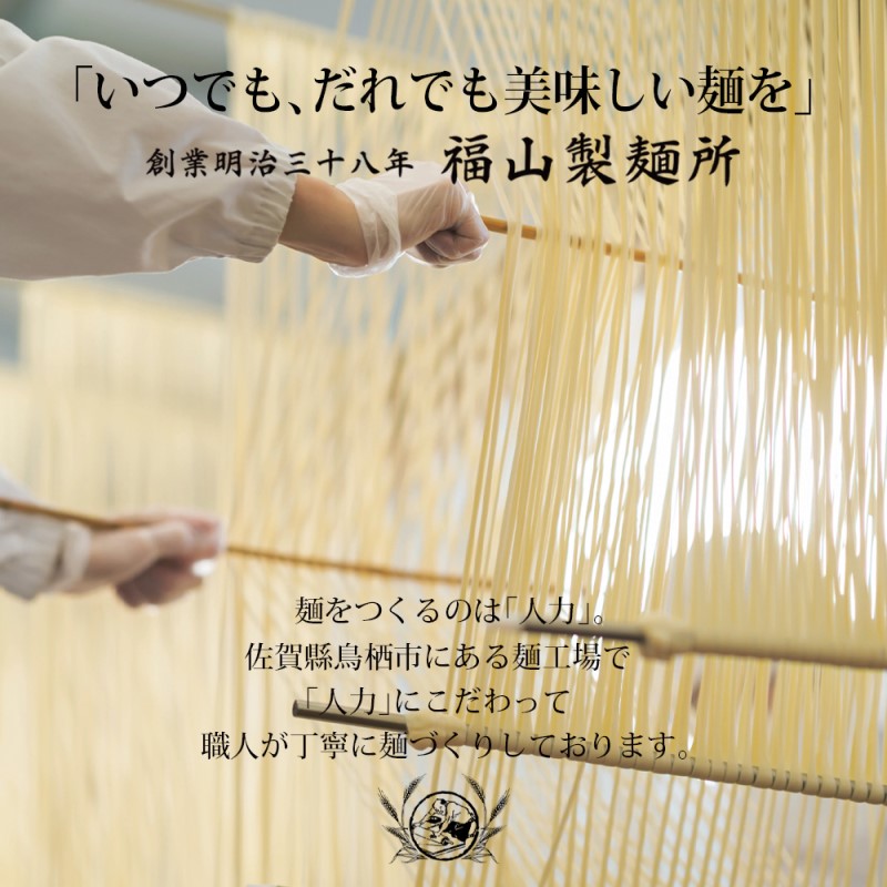 半生 うどん 手延べ人力うどん 2食入り 創業明治38年 福山製麺の饂飩 国産 個包装 簡単調理 常備食 お取り寄せ