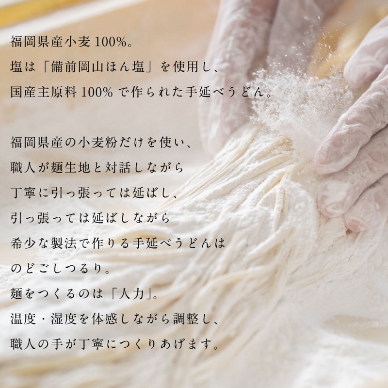 半生 うどん 手延べ人力うどん 2食入り 創業明治38年 福山製麺の饂飩 国産 個包装 簡単調理 常備食 お取り寄せ