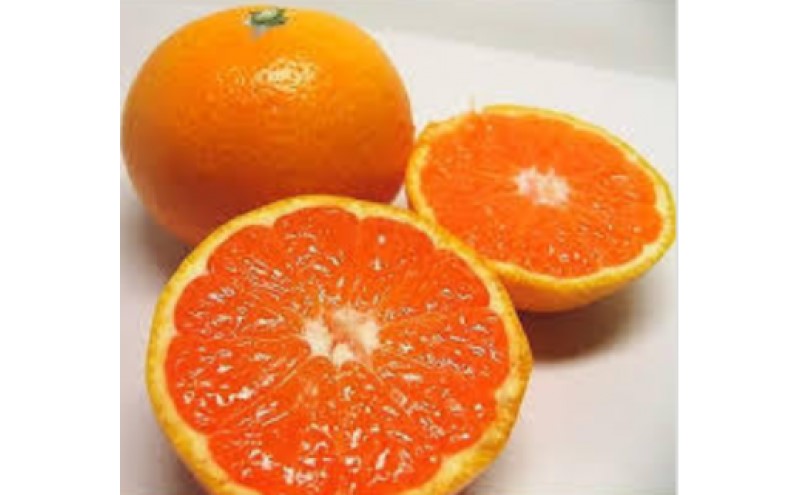 みかん ゆら早生みかん5kg 柑橘 果物 フルーツ デザート ※配送不可:離島