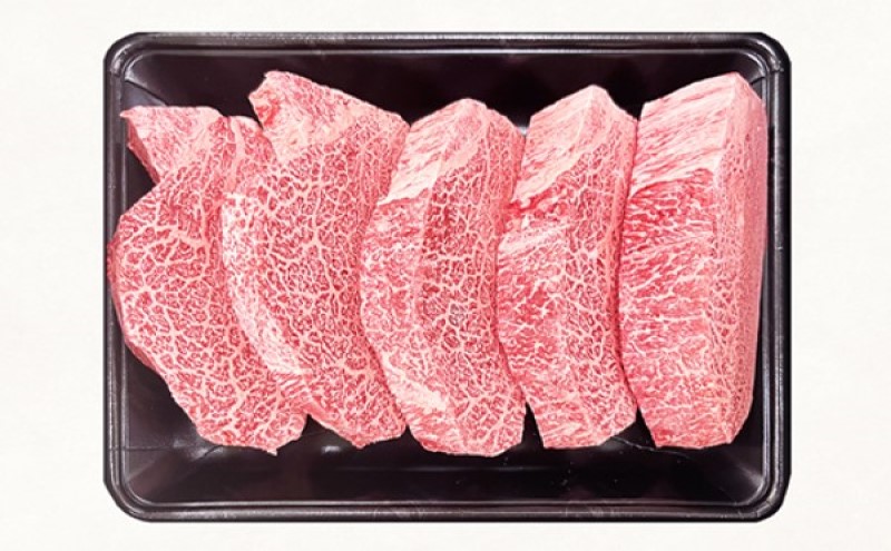 定期便 10回 佐賀牛 シャトーブリアン 1kg 毎月コース 牛肉 ※配送不可：北海道、沖縄、離島
