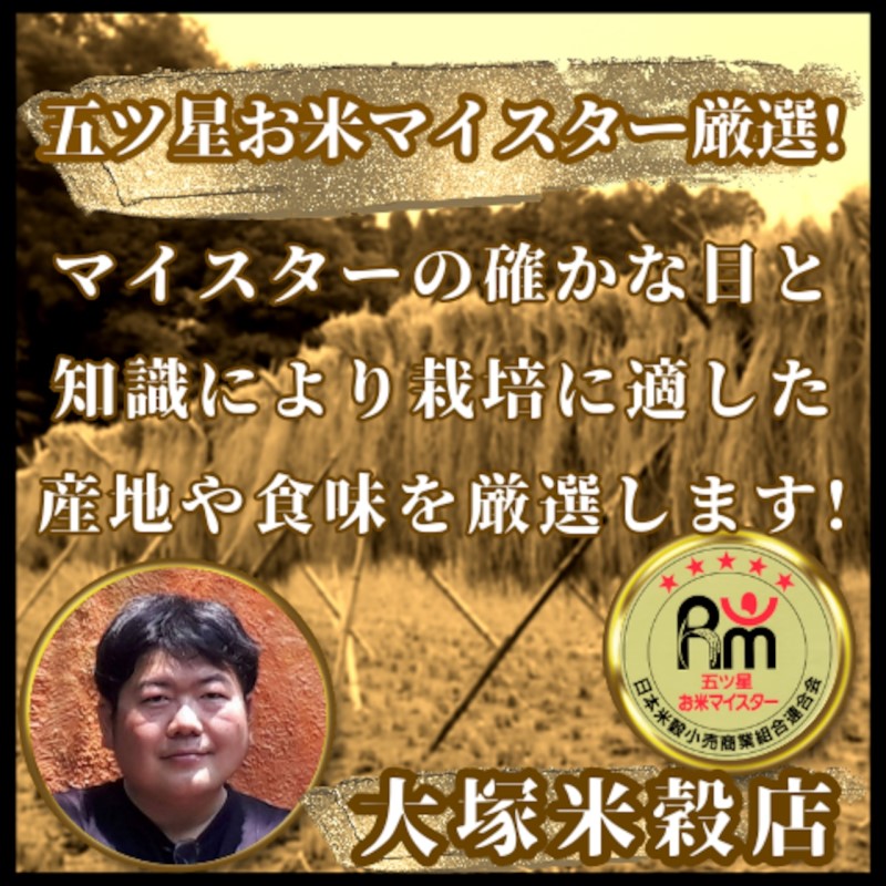 新米 先行予約 夢しずく 佐賀県産 無洗米 10kg (5kg×2) 五つ星お米マイスター厳選 米 ※配送不可：離島