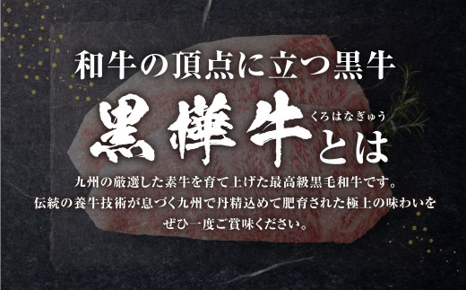 黒樺牛 肉厚サーロインステーキ 計約900g（約300g×3パック）