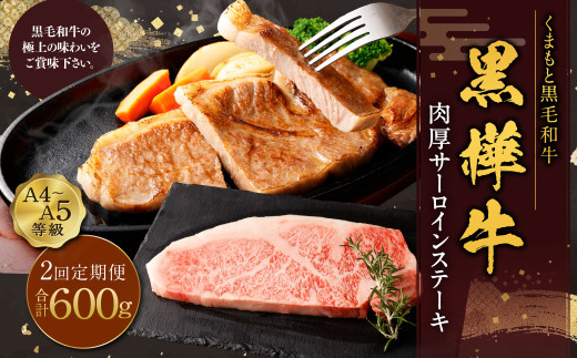 【2回定期便】黒樺牛 肉厚サーロインステーキ 約300g×1パック