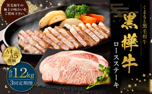 【2回定期便】黒樺牛 肉厚サーロインステーキ 約300g×1パック