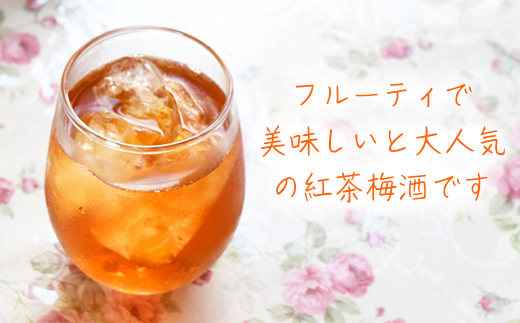 吟醸酒粕焼酎ちえびじん+ちえびじん紅茶梅酒のセット【中野酒造】 ＜110-013＞