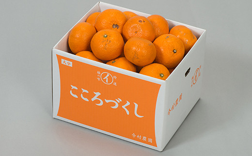 【訳あり・優品】今村農園の蔵姫くらひめ（紅甘夏） 約14kg フルーツ みかん 果物 先行予約 ＜107-031_7＞ 14kg