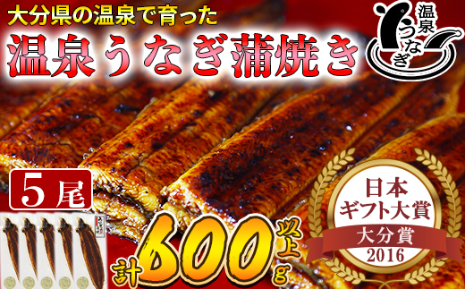 温泉うなぎ蒲焼 5尾（120gサイズ） 国産うなぎ ＜104-005_5＞