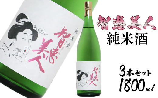 中野酒造清酒智恵美人純米酒1800ml 3本セット＜105-029_5＞