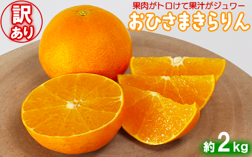 【訳あり・優品】今村農園のおひさまきらりん 約2kg フルーツ みかん 果物 先行予約 ＜107-018_7＞ 2kg