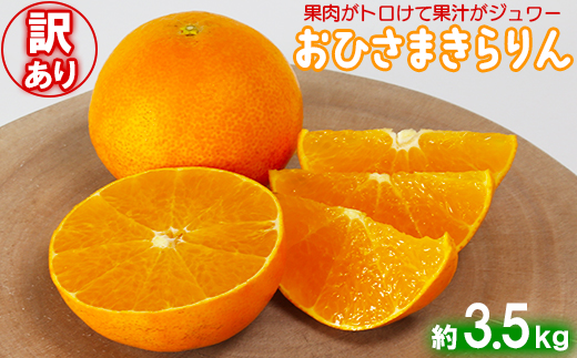 【訳あり・優品】今村農園のおひさまきらりん 約3.5kg フルーツ みかん 果物 先行予約 ＜107-019_7＞ 3.5kg